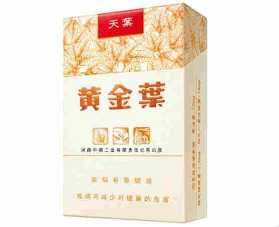 最新黃金葉天葉價(jià)格(批發(fā)零售)行情