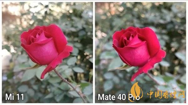 小米11和華為Mate40Pro哪個(gè)拍照好-拍照評(píng)測(cè)