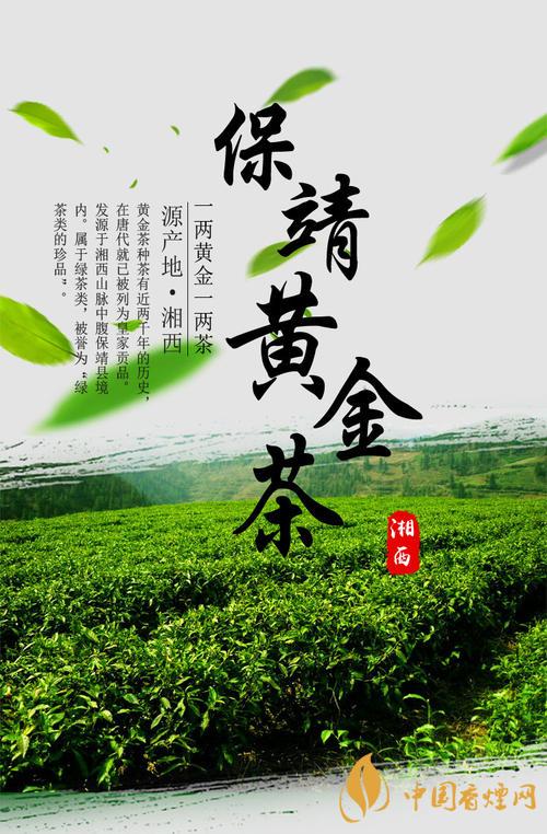 保靖黃金茶多少錢一斤 保靖黃金茶屬于什么茶