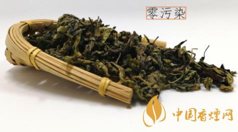 長(zhǎng)白山丁香茶怎么樣 長(zhǎng)白山丁香茶功效與作用大全