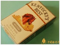 黃肯塔基最佳香煙價格表圖 美國KENTUCKY'S BEST(肯塔基最佳)香煙多少錢